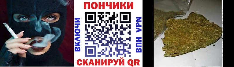 Бошки марихуана THC 21%  Асино 
